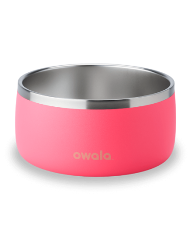 Pet Bowl Hyper Flamingo